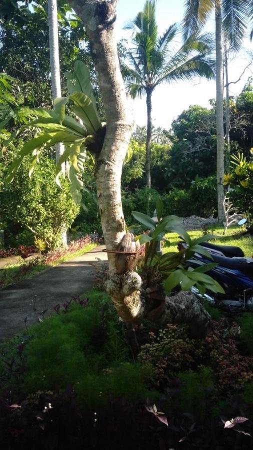 Balian Bliss Retreat Resort - Adults Only Kültér fotó
